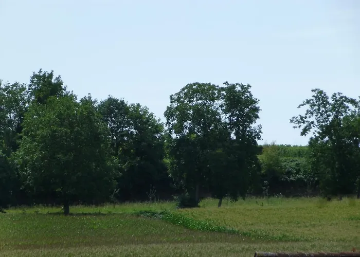 Ferienhaus Stein Гостевой дом Бад-Кроцинген