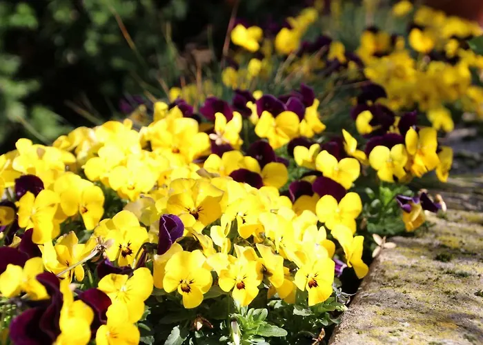 Гостевой дом Ferienhaus Stein Бад-Кроцинген