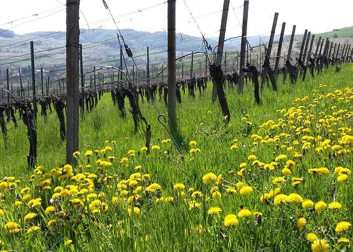 Ferienhaus Stein Гостевой дом Бад-Кроцинген