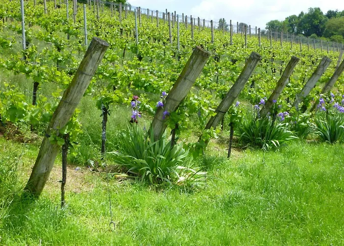 Гостевой дом Ferienhaus Stein *